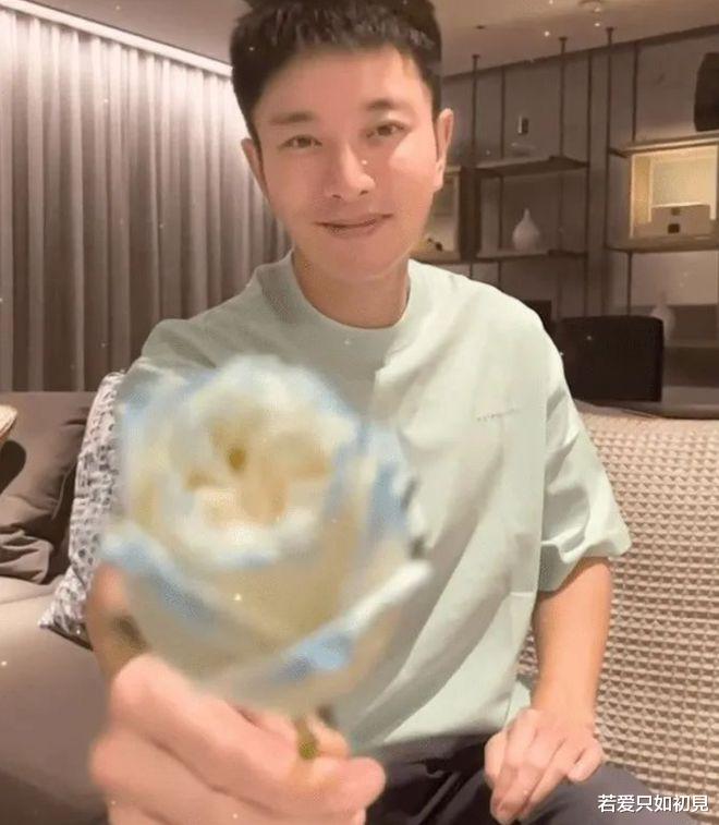 复婚|他们俩是要复婚?