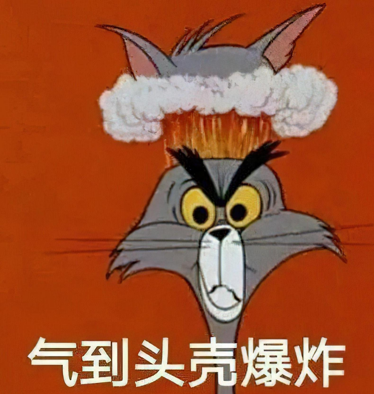 听我说谢谢你|零零后整顿职场，勇敢维护自己的正当权益，网友：听我说谢谢你