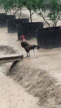 神回复|神回复：有哪些不起眼但利润特别大的生意？