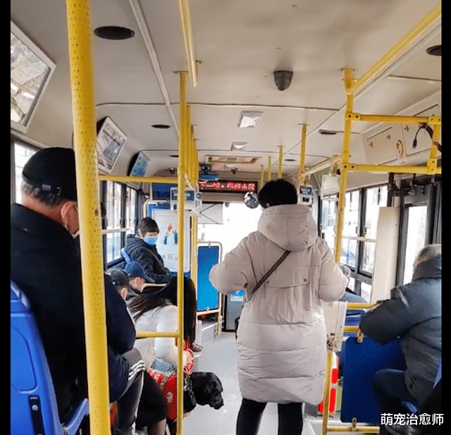 导盲犬带主人上公交车，大爷大妈不约而同站起来让座，这一幕好暖