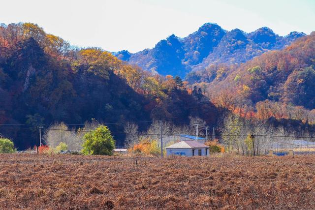 辽宁省|辽宁这个村子名字跟土匪有关，却藏着最美山沟，被上帝赐给了画家