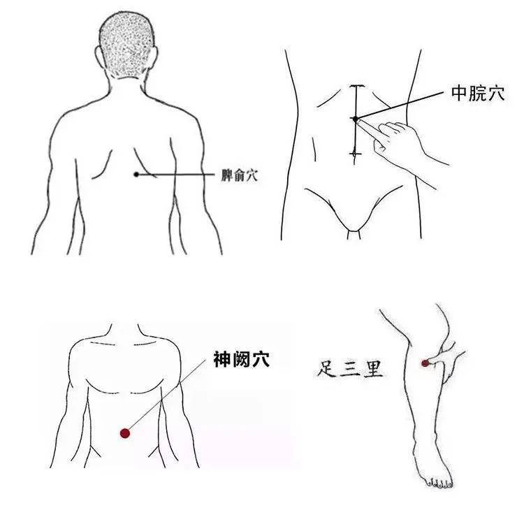 穴位 脾不好，人就胖！