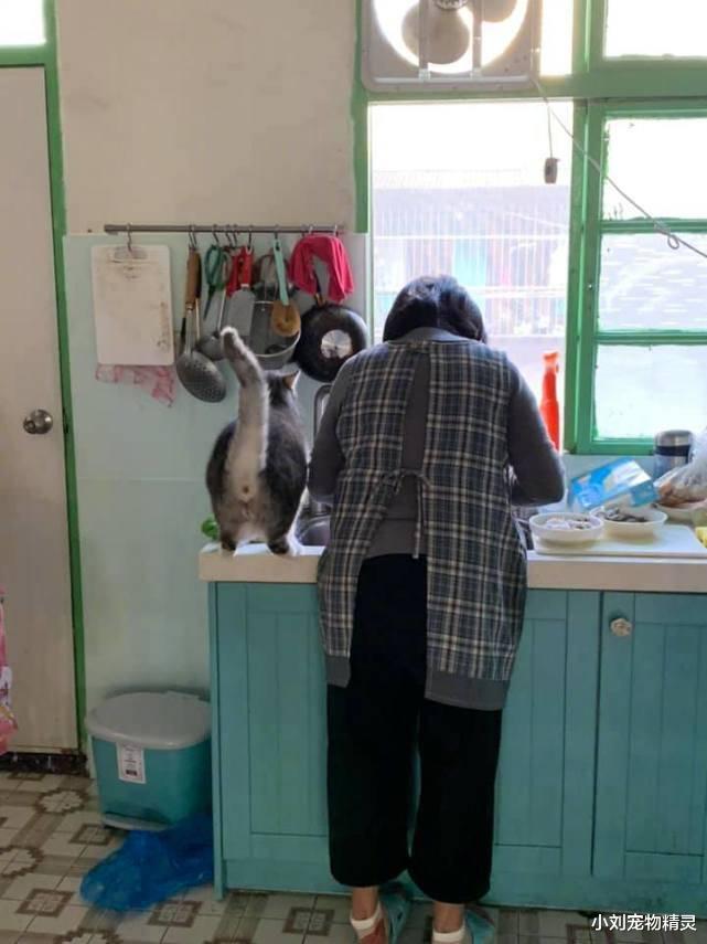 男子去厨房，发现灶台上有什么东西，看清后却有点说不出话了