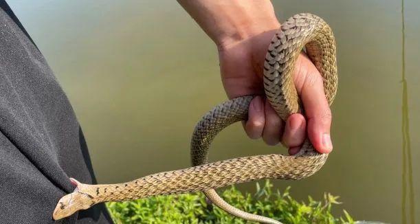 中暑|鱼还没咬钩、人先中暑了！高温天钓鱼一定要重视的几件事