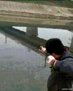 |“十年前后的手机变化有多大？”合着就变了个字母