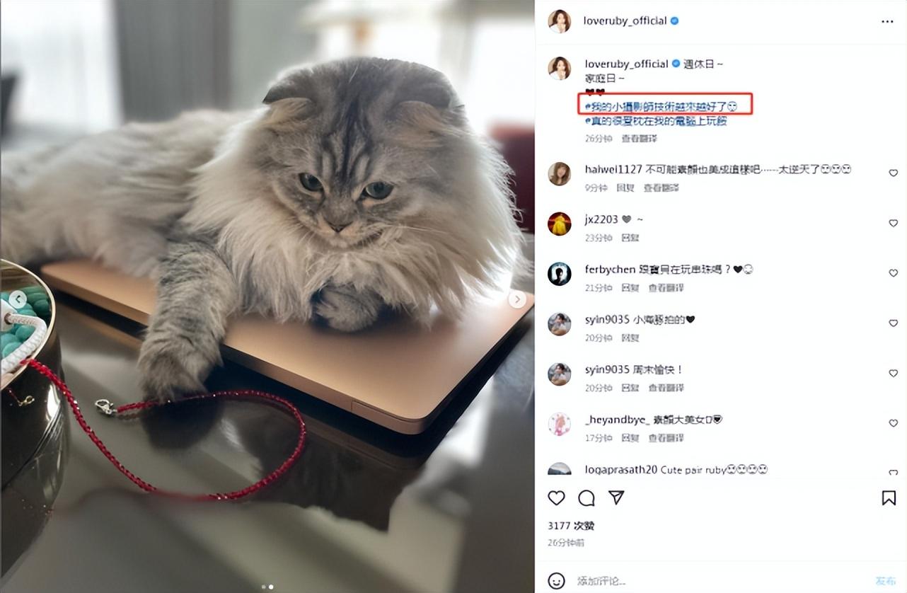 林心如|林心如晒女儿视角美照，大赞小海豚摄影技术好，46岁素颜超耐打