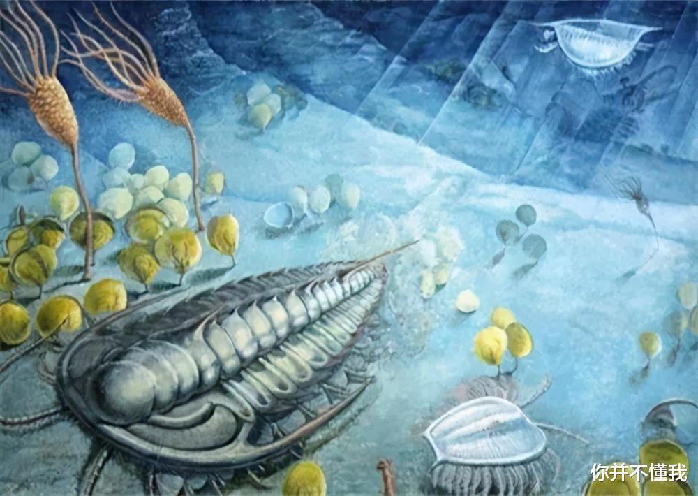人类还能在地球生存多少年？科学家预测出的时间，你能接受吗？