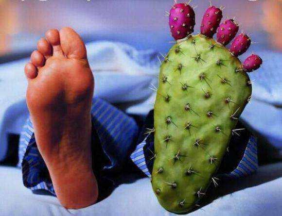 痛风|都说吃黄花菜，可以帮助身体“排酸”，那痛风患者吃完有好处吗？