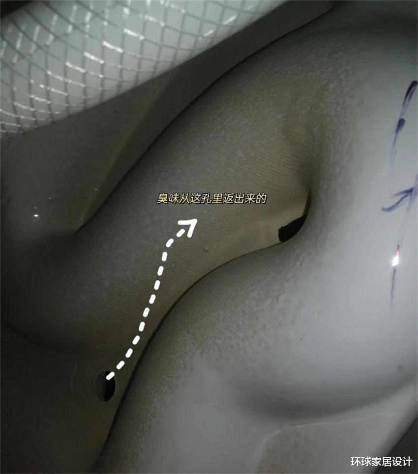 为什么卫生间总是反臭味？这3个地方“罪魁祸首”，尤其是第1个