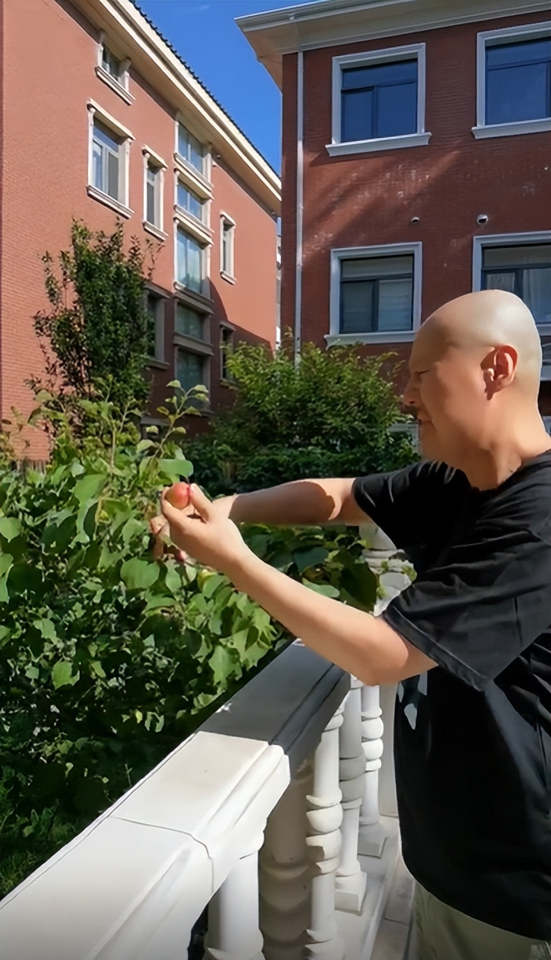 腾格尔|62岁腾格尔摘树上野果吃!直接往嘴里塞不嫌脏,酸到五官扭曲变样