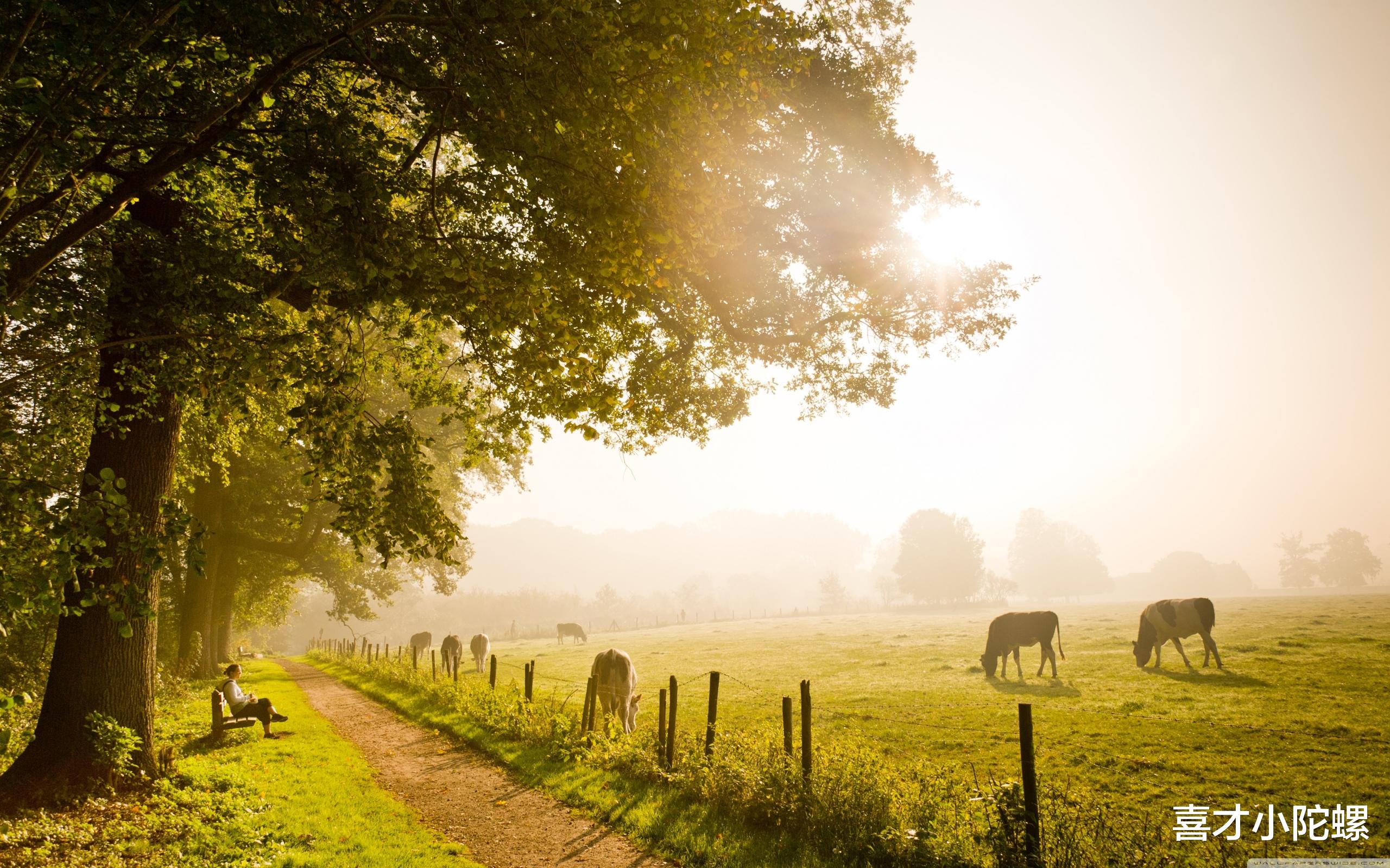 商场|这四大星座职场平步青云，商场大杀四方，未来一个月最易大发横财
