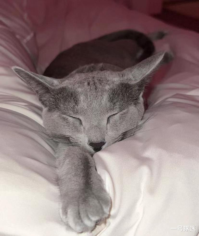 金·卡戴珊|38岁的卡戴珊,喜迎人生新阶段,坐拥2.6亿粉丝 事业红火 保持单身