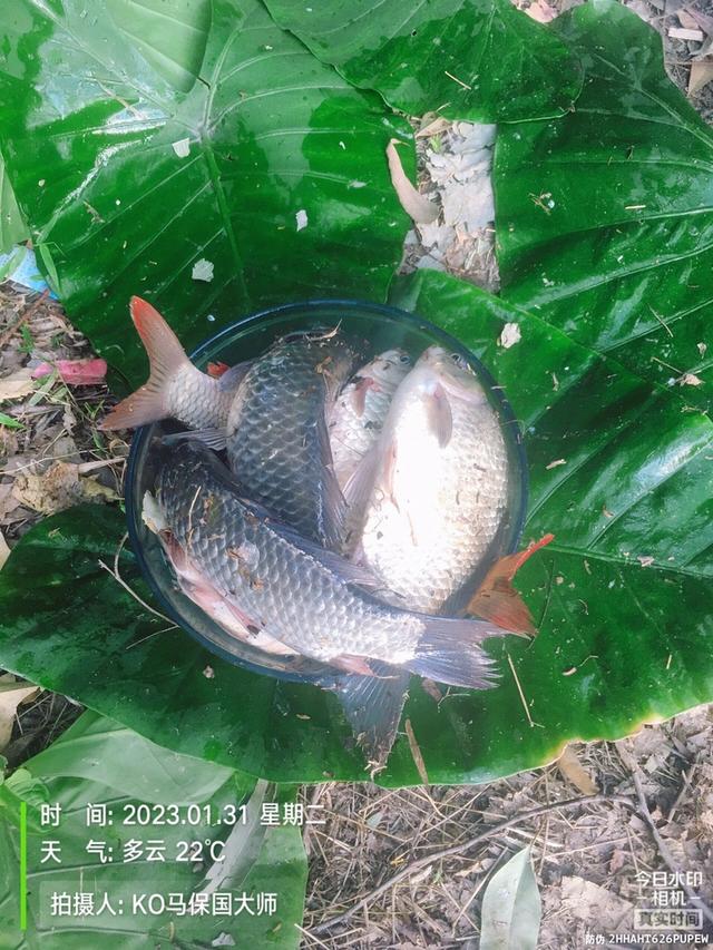 |大年大河大太阳，小打小闹小过瘾！