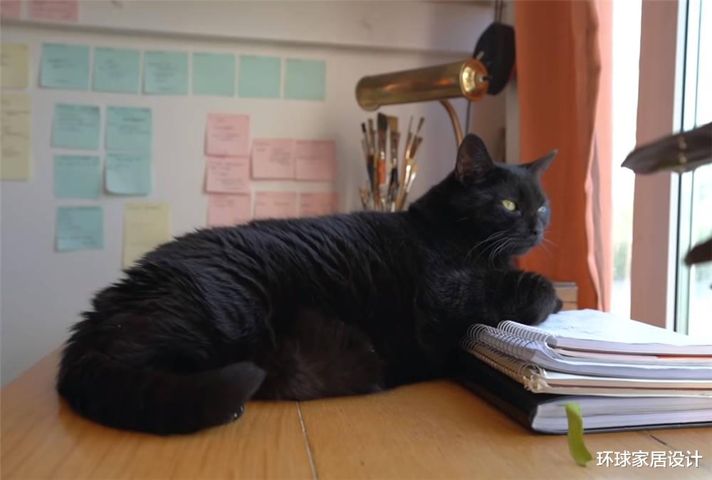 41岁阿姨的10㎡独居生活，没有丈夫，没有小孩，一个人住太爽了