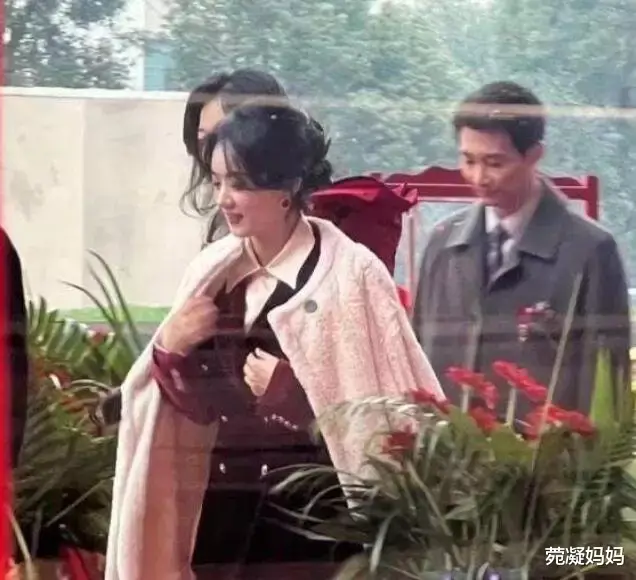 王楠|郭德纲助理直播间痛骂粉丝穷，周杰伦助理强制检查路人手机