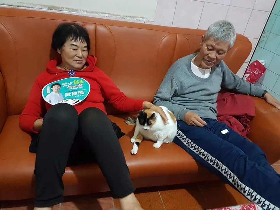 家人为猫存下2万多小金库，网友自己却穷得要吃土！网友：太富有了，我连两千都没有！！