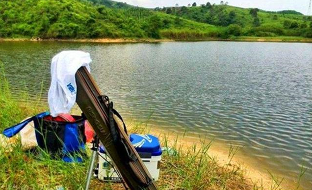 饵料|盛夏季节钓鱼，鱼不开口怎么办？使用这四个小技巧能轻松搞定