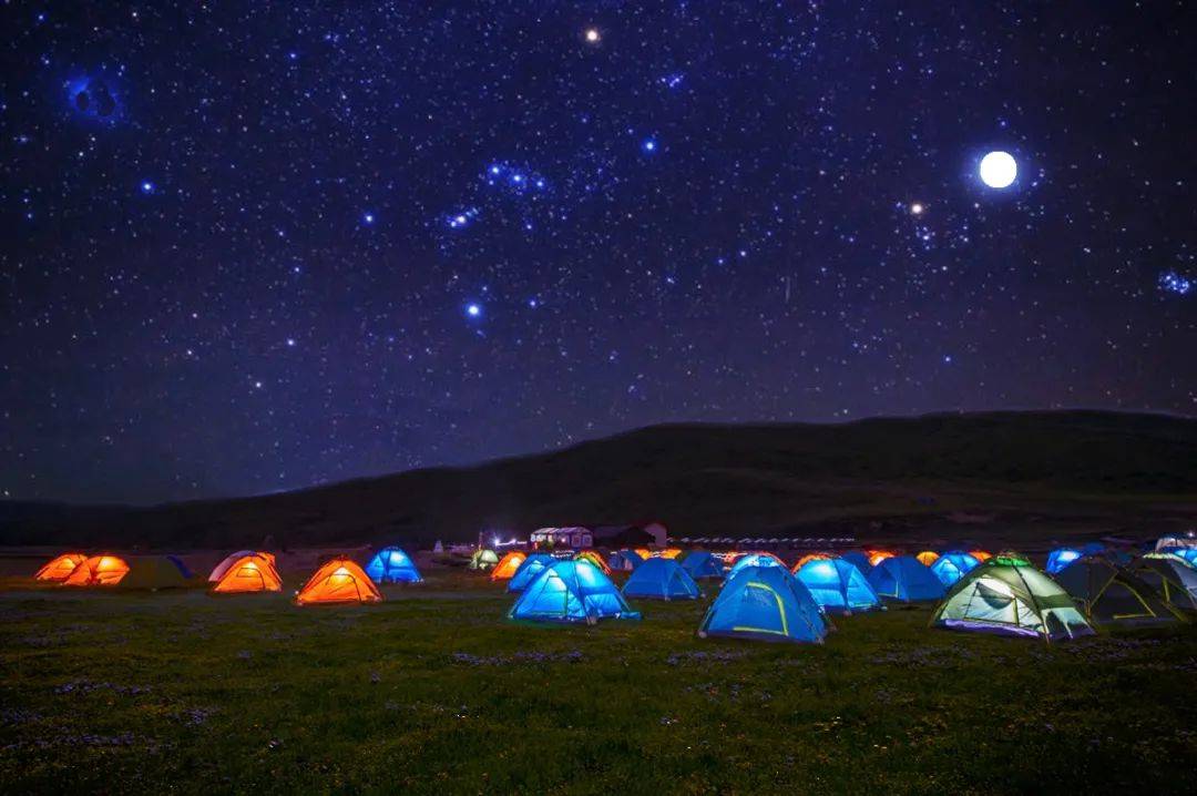 高原|5月26日开园！！俄么塘花海，已经开始美了！