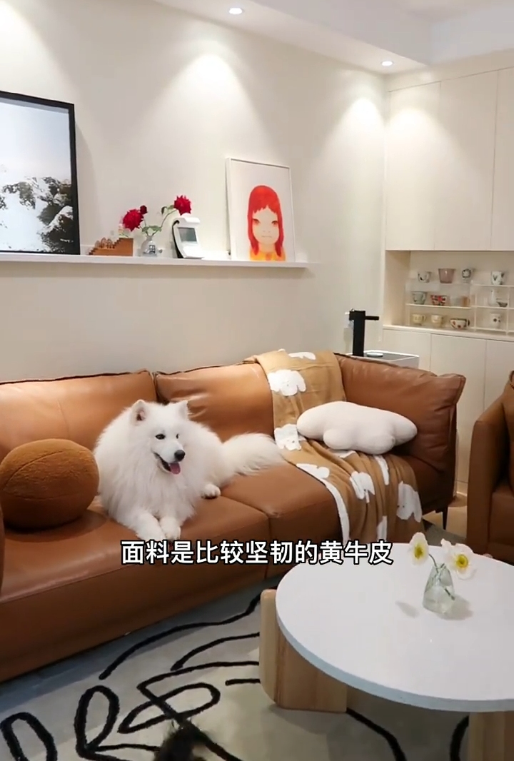 客厅|住不起大别墅,买栋一楼带花园的小洋房,也是个不错的选择