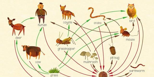 野猪是蛇的克星吗?再毒的毒蛇都杀不死一头猪,有何科学依据?