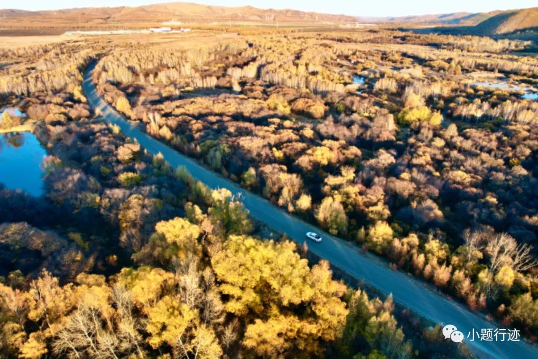 阿尔山|阿尔山的秋天可以有多美?美到醉景,美到来了不想走!