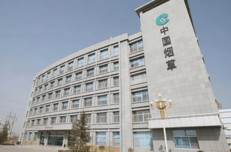 Google|年薪颇高的中国烟草,为何多数毕业生挤不进去?过来人道出实情