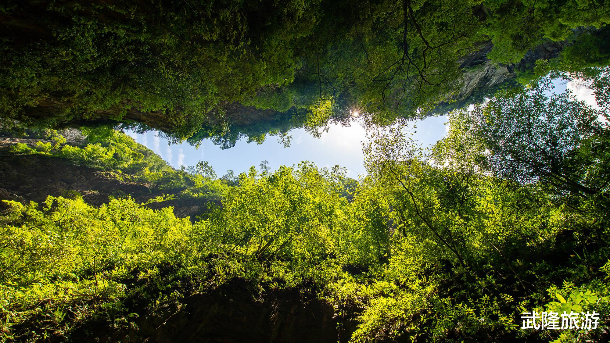 洋芋|鲜为人知！无意闯入峡谷秘境，武隆深山藏着千年钙化池！