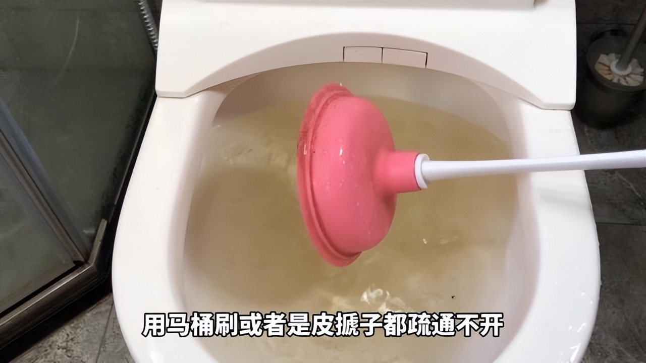 女子听说泥鳅可以通厕所,买来5元泥鳅倒进厕所后,结局不淡定了