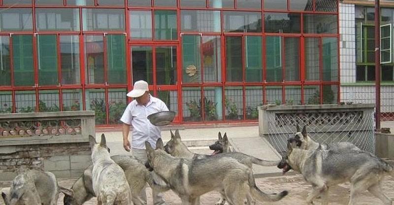 04年江苏一学生花30万雇凶为夫报仇,成功后自首,称订单取消失败