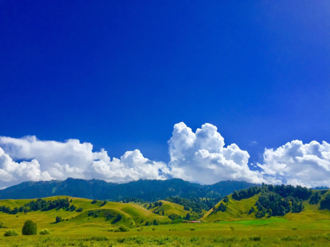 广东省|没有来过这5个地方，就不算到过伊犁