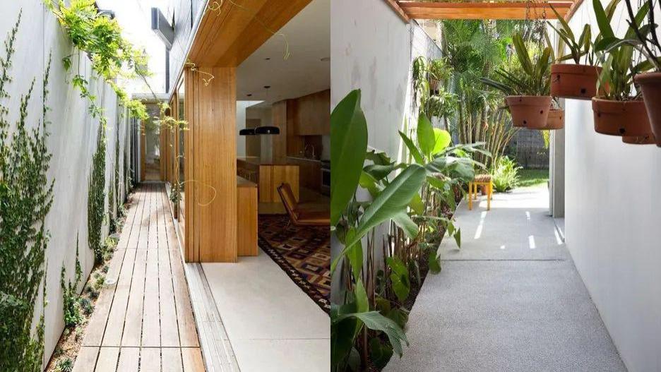 装修换个思路：阳光房挪到庭院侧边，只要1m宽，不怕晒也不挡光