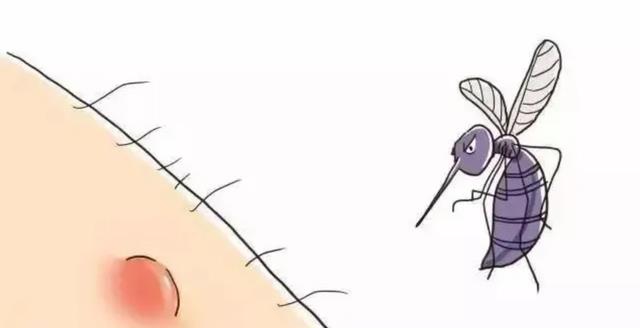 如果蚊子突然灭绝了,你会拍手称快吗?对地球会有什么影响?