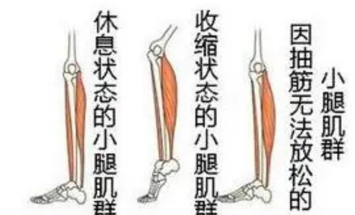 “回光返照”离死亡还有多远?原来,这是器官在努力地挽回我们