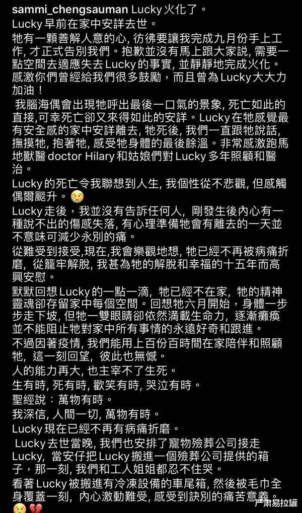 旧爱|“出轨门”3年后，她怎样了？