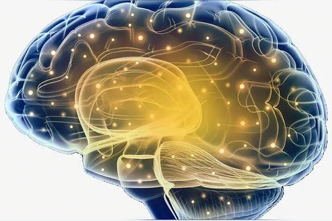 人和石头都由众多粒子构成,粒子和石头没有意识,为什么人却有?