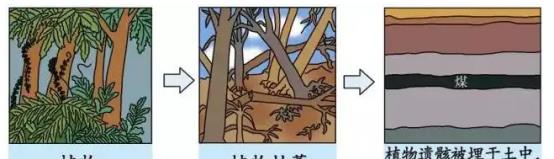 为什么刚挖出来的煤,必须水洗后才能用?不洗又会怎样?