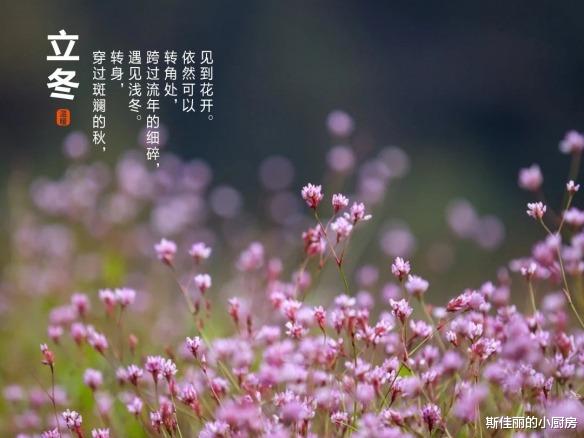 明日立冬，不管多忙，别忘吃“地5宝” ，应季而食好处多，别不懂