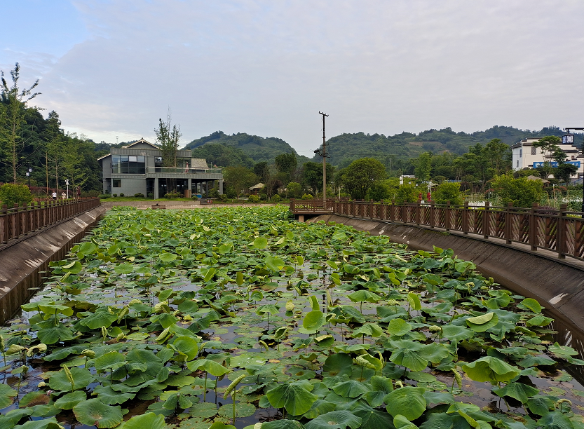 青岛市|想去大自然里透透气  想搭起帐篷、支起烤架、摆上美食  想烤串、弹琴、歌唱、谈心、看星星……  去露营吧！！！