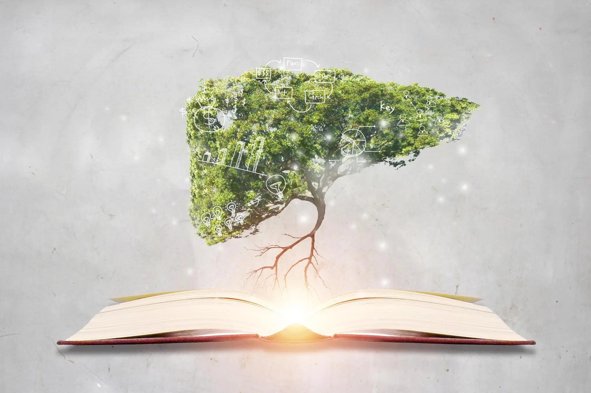 肝脏|转氨酶有什么意义，升高就是肝损伤了么，保护肝脏要怎么做？