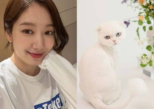 朴信惠|朴信惠公开产后近况 为崔泰俊生下可爱儿子 13岁因天国的阶梯走红