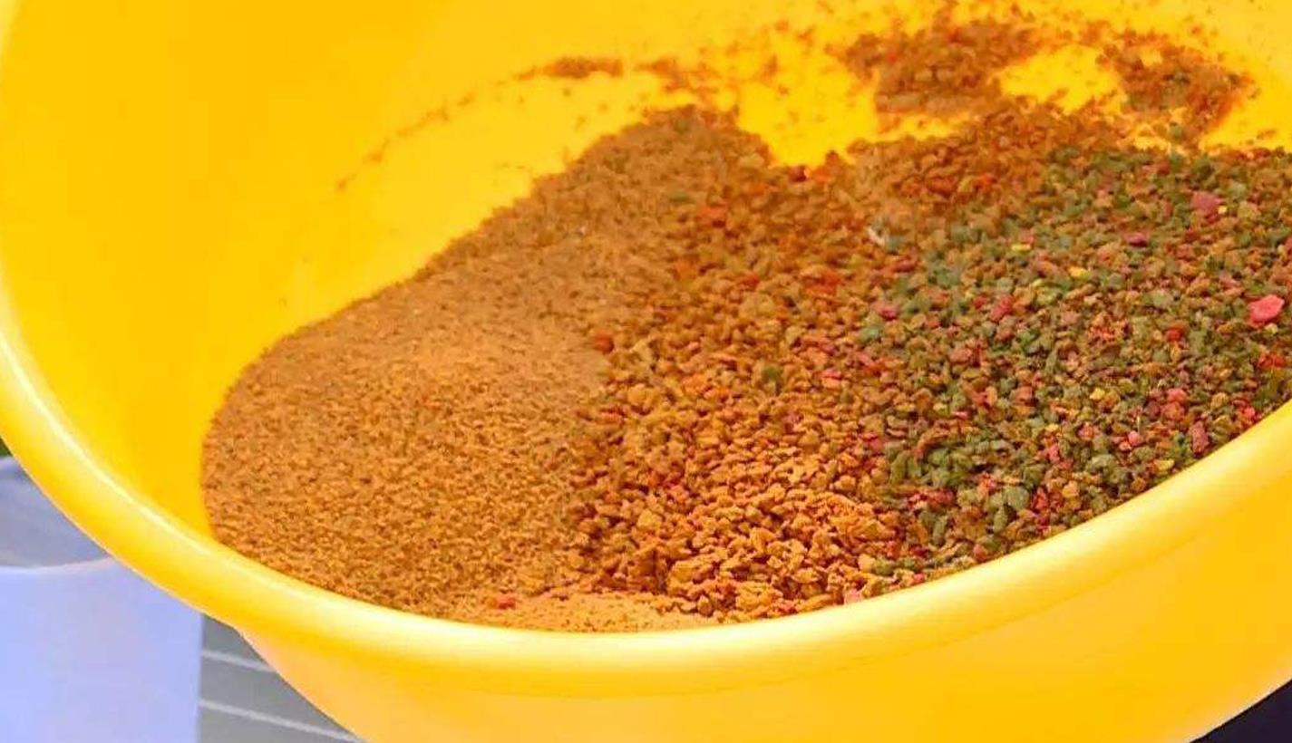 饵料|钓鱼10年才知道,这五种藏在水里的万能饵,专钓大物还不花钱