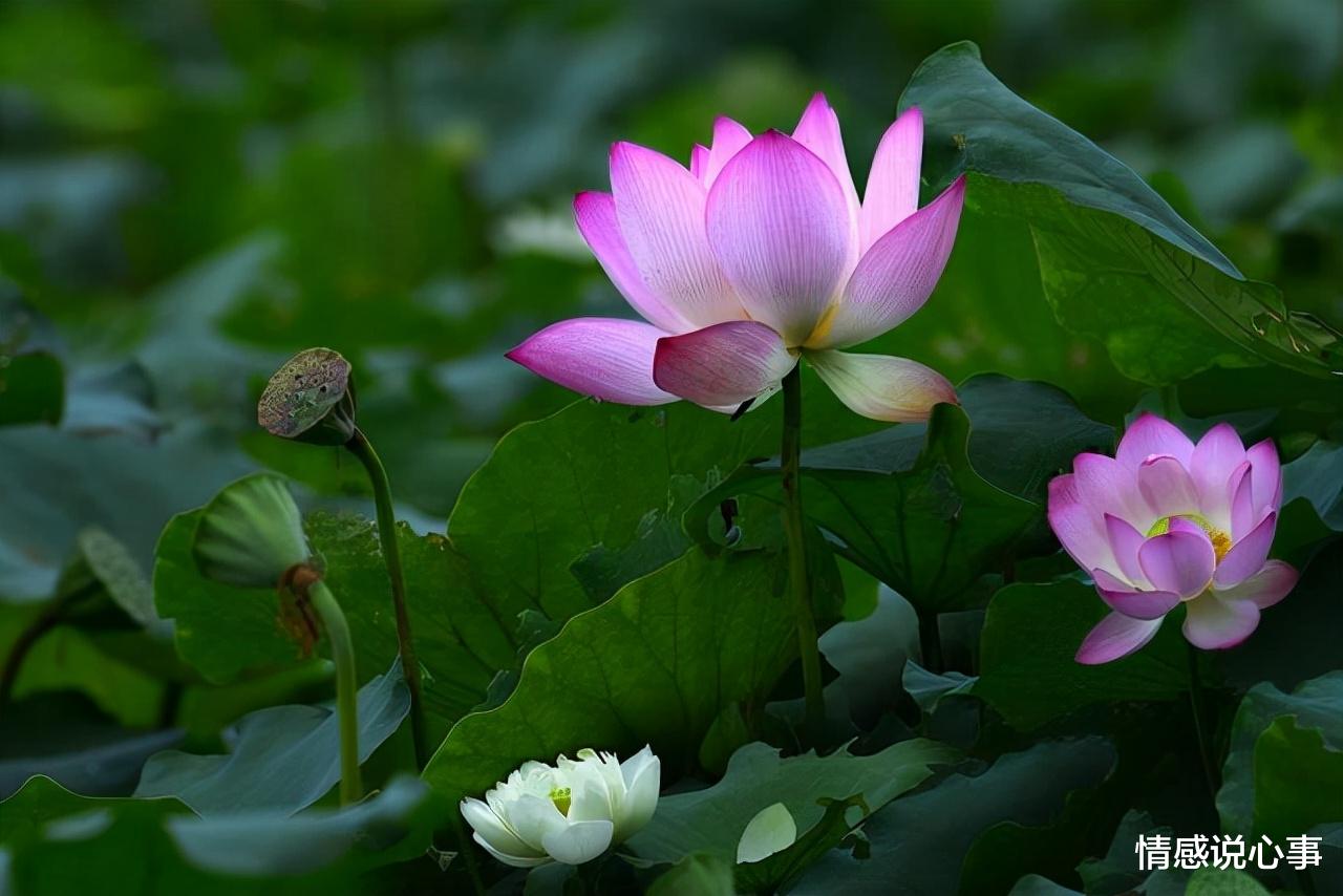 失眠|2022,啥最重要?