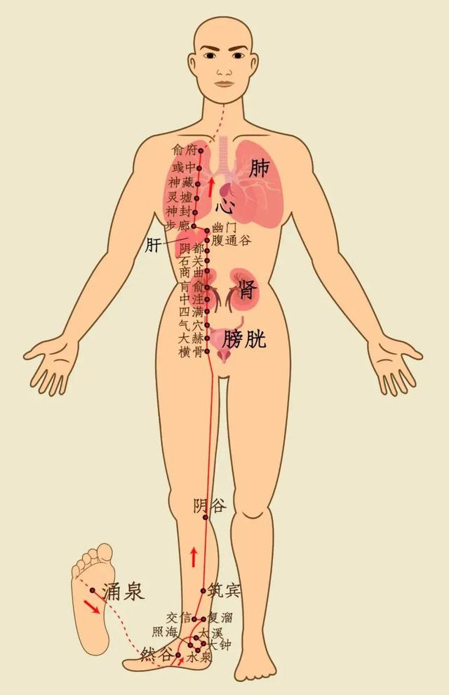 心脑血管疾病|五脏最喜欢的养生动作,经常做五脏保平安