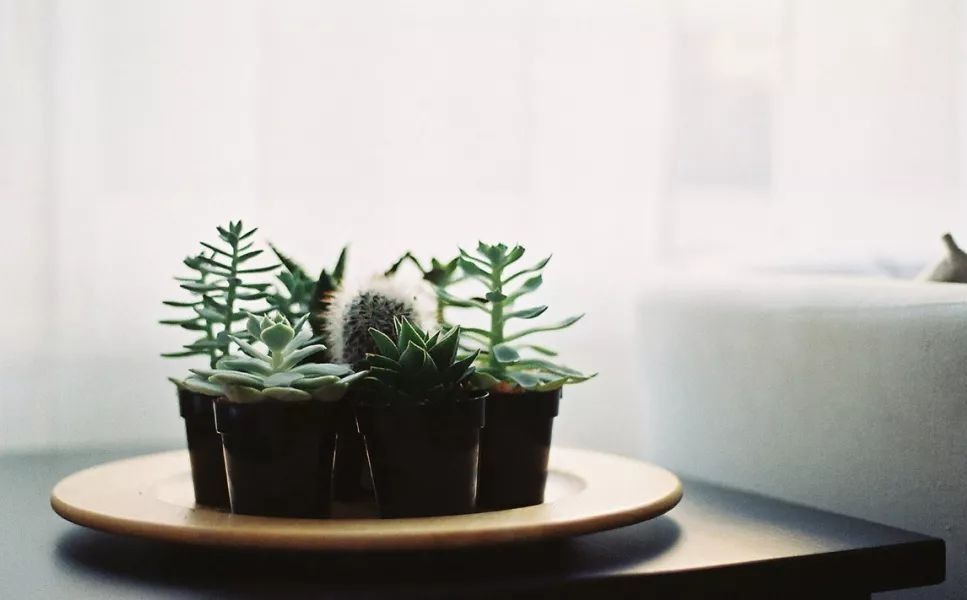 |人生的下半场，拼的就是一技之长