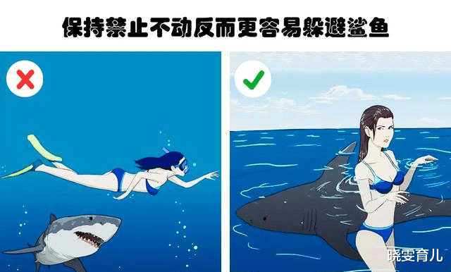 虽然看起来像是假的 但却真实存在的9个有趣的冷知识
