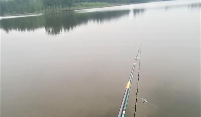 鲤鱼|用抛竿怎样钓草鱼？野钓鲤鱼如何调漂？