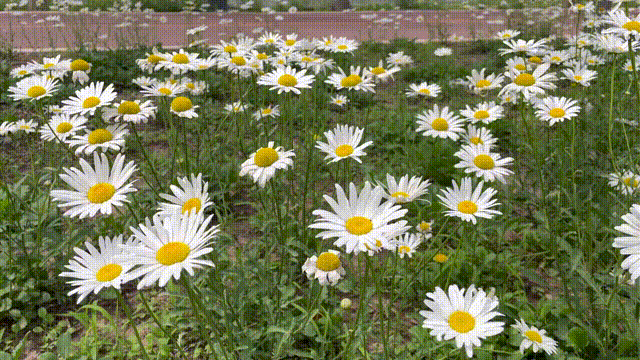 贵阳|邵阳旅游推荐:魏源故居