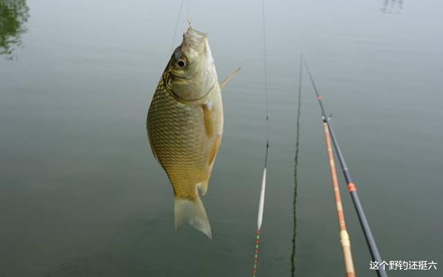 |冬季浓腥大味型的窝料有穿透力诱鱼快？与其瞎折腾不如去找资源！