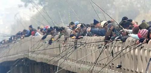 死亡率|为什么有些鱼被钓上来再放回水里，它也活不长？