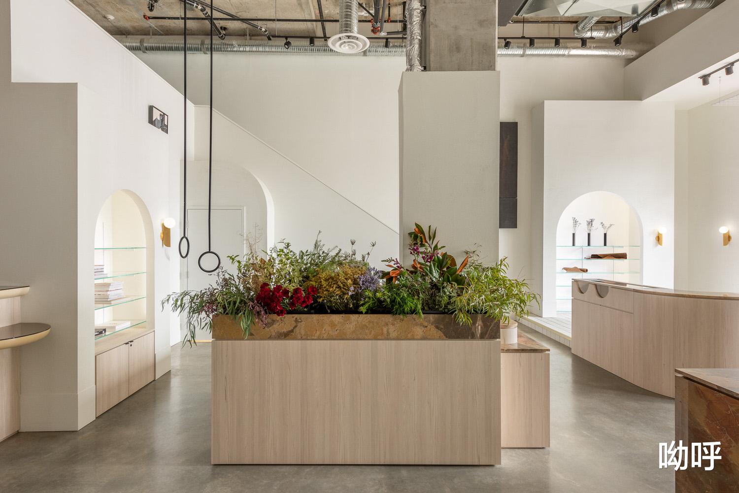 Ste. Marie丨混乱中的一点秩序